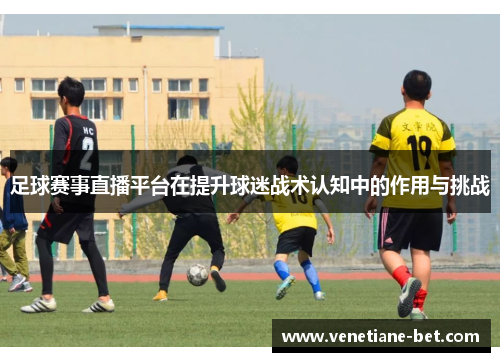 足球赛事直播平台在提升球迷战术认知中的作用与挑战